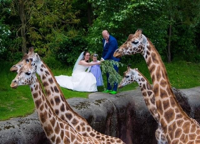 Trouwen in de dierentuin